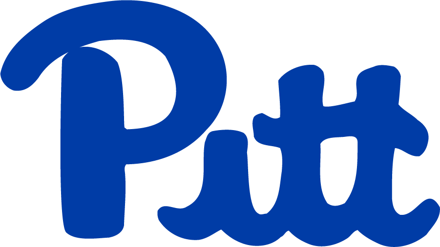 Pittsburgh Panthers 1973-1997 Alternate Logo v2 diy iron on heat transfer